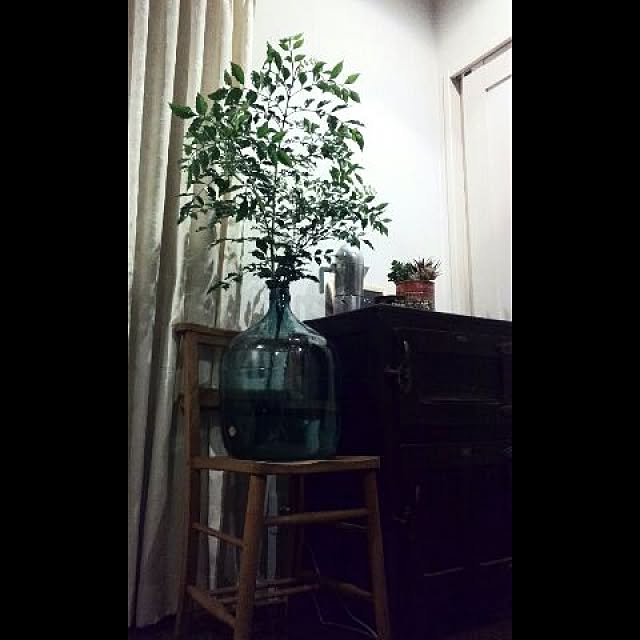 mamezoさんの実例写真