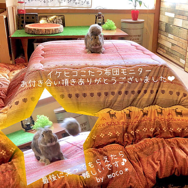 muuさんの実例写真