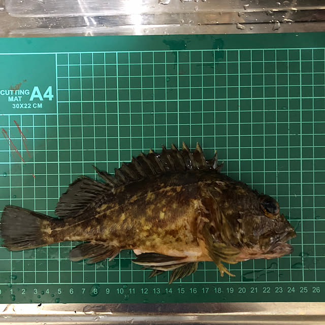 Newtypeさんの実例写真