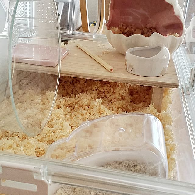 pomさんの部屋