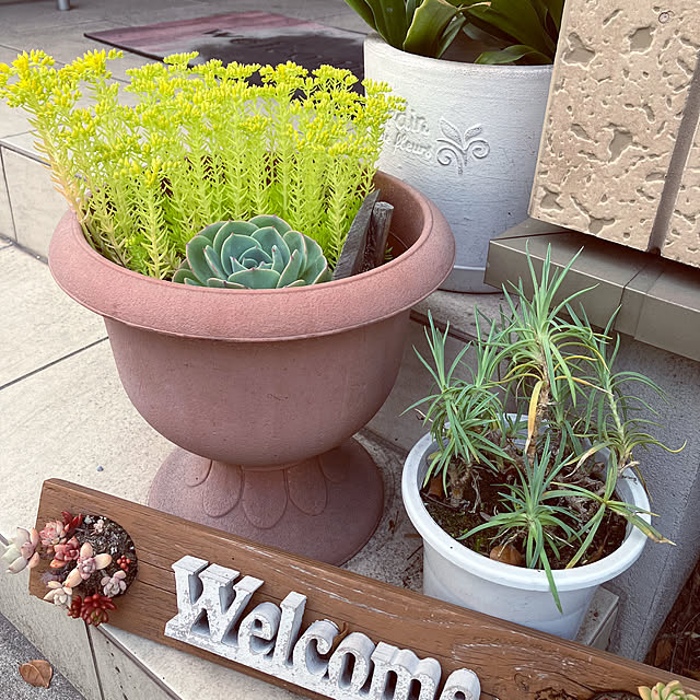 m0917mさんの部屋