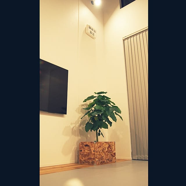 Noboさんの実例写真