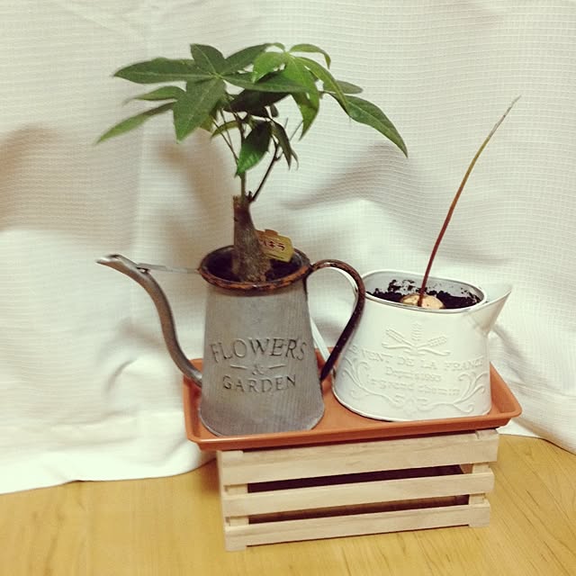 kiryoさんの実例写真