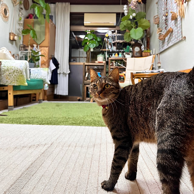mohhaさんの部屋