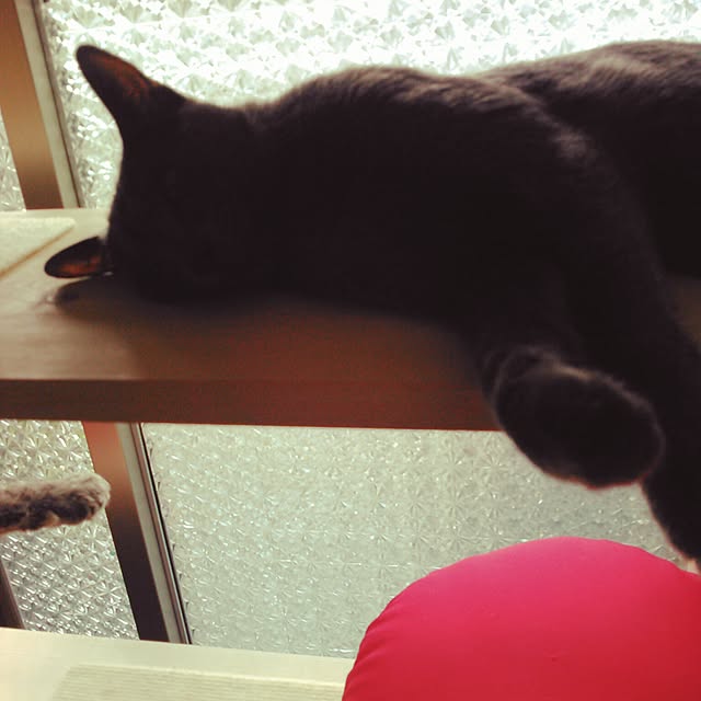 mochiさんの実例写真