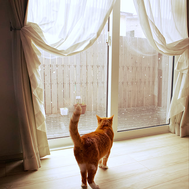myuuさんの実例写真