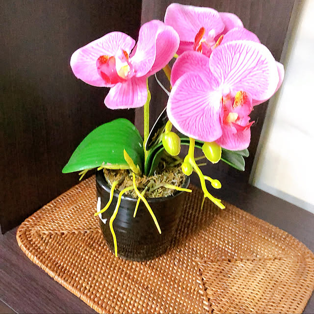 akさんの実例写真