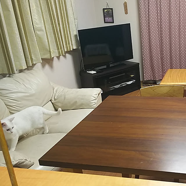 h-a-ri.mamaさんの実例写真