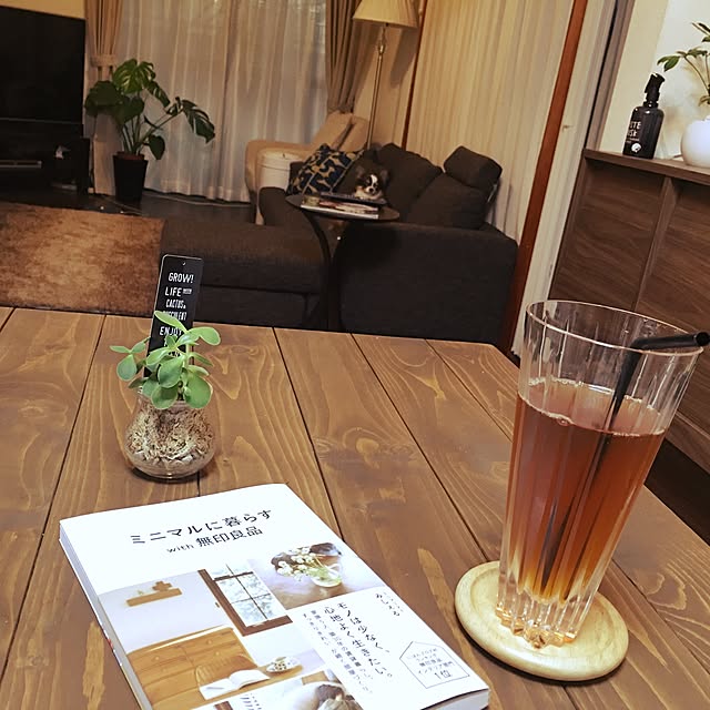 ダイニング/チワワ/カフェ風/観葉植物/机のインテリア実例 - 2016-05-29 16:38:11