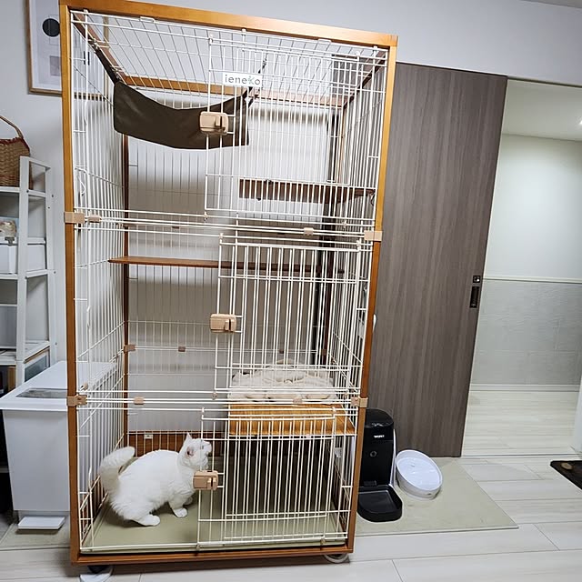 tomatoさんの部屋