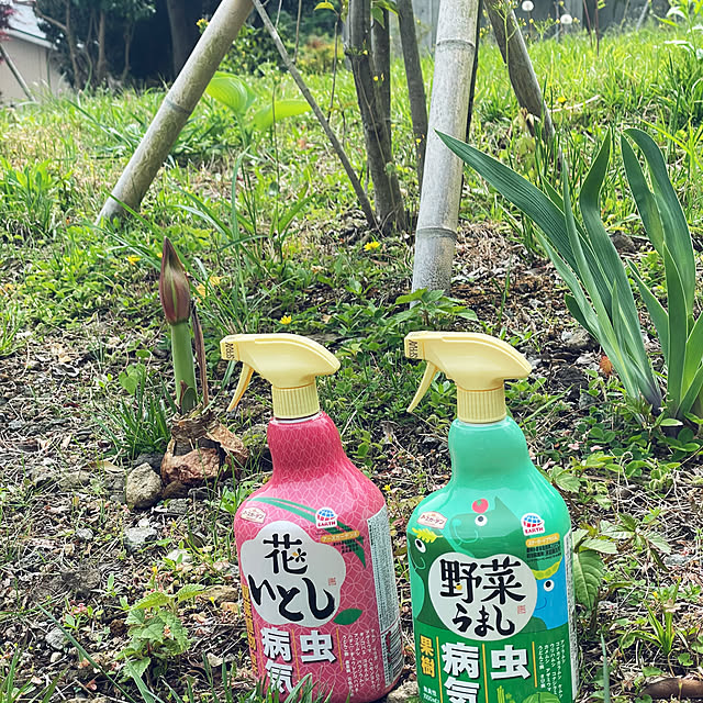kabu10さんの部屋