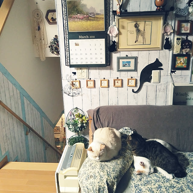 posauruさんの実例写真