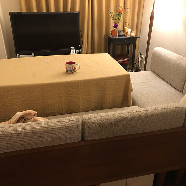 ナチュラル/IKEA/北欧/リビングのインテリア実例 - 2023-09-11 17:28:10