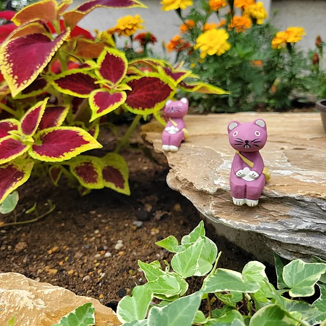 RSYさんの実例写真