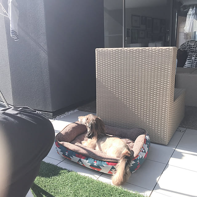 machaさんの実例写真