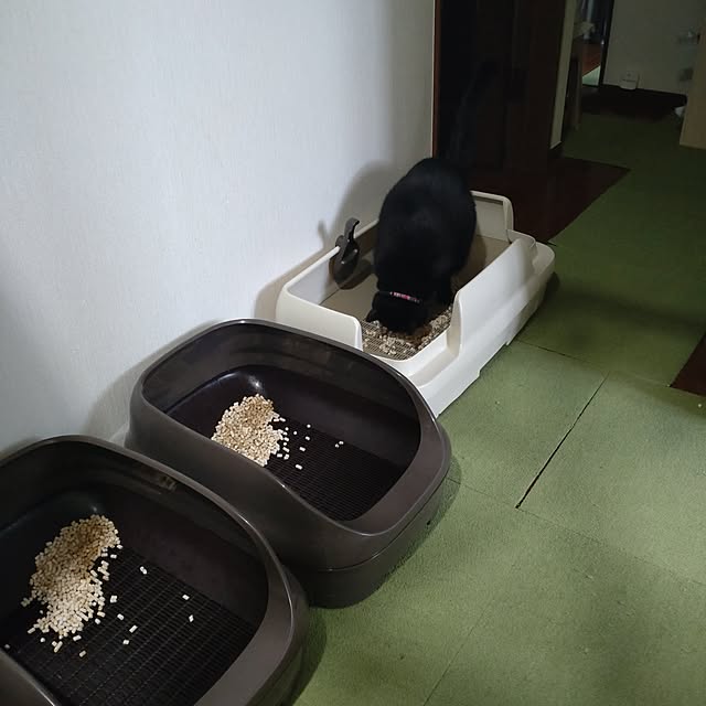 mntcさんの部屋