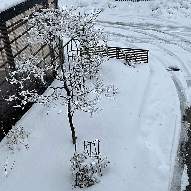 kakoさんの実例写真