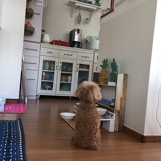 odekoさんの実例写真