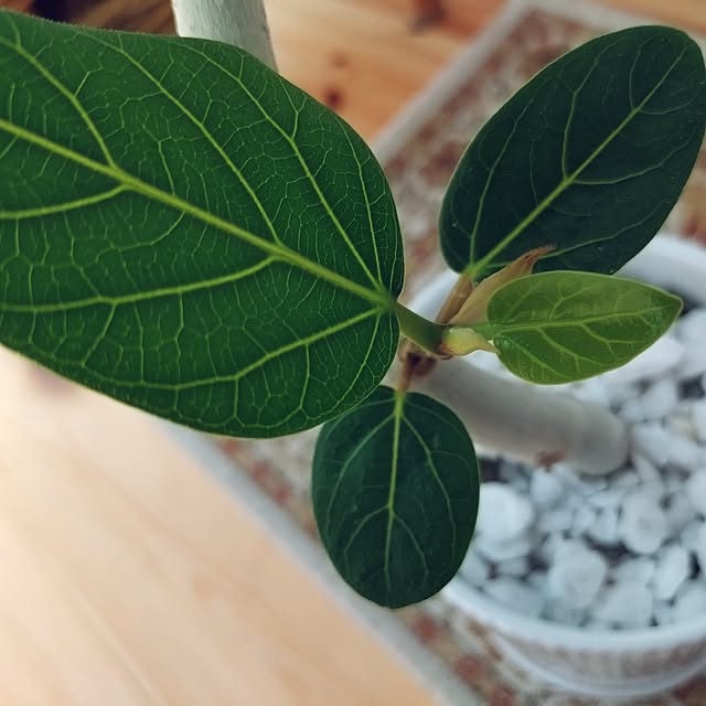 ri-eさんの部屋