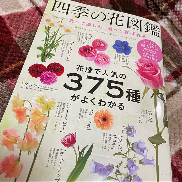 kakoさんの実例写真