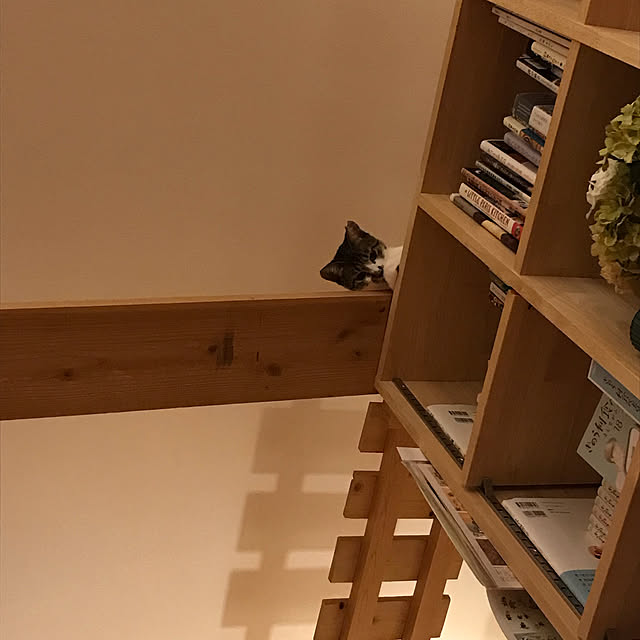 shizi195さんの実例写真