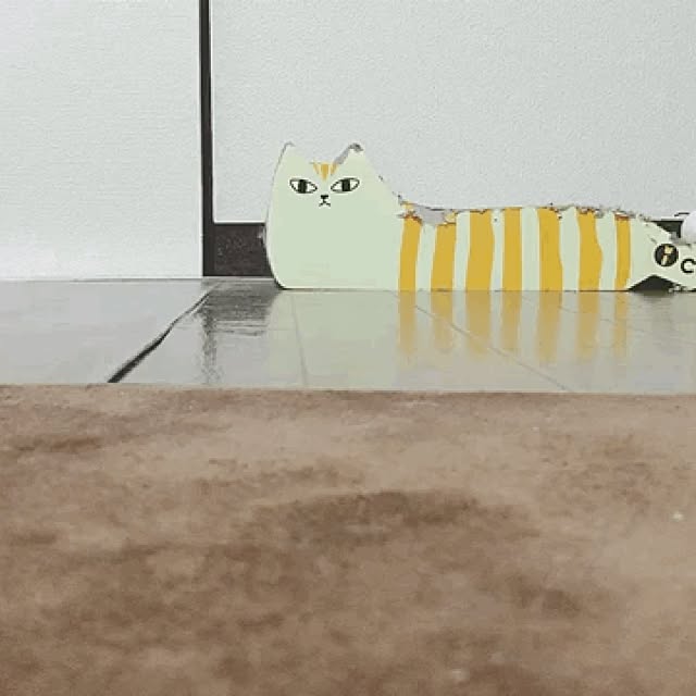 stk52さんの実例写真
