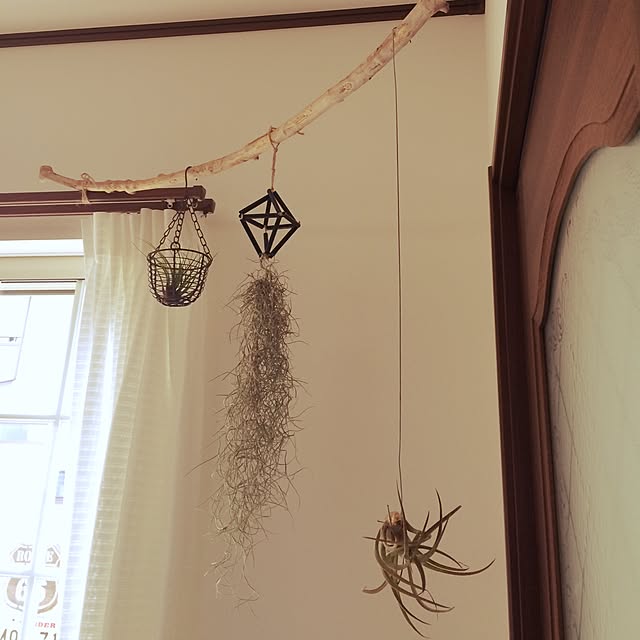 saosaoさんの実例写真