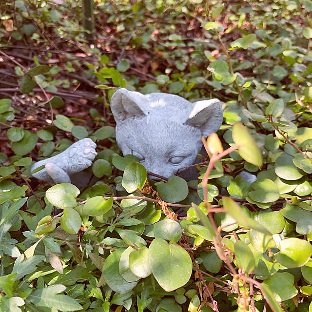 yuchiさんの実例写真