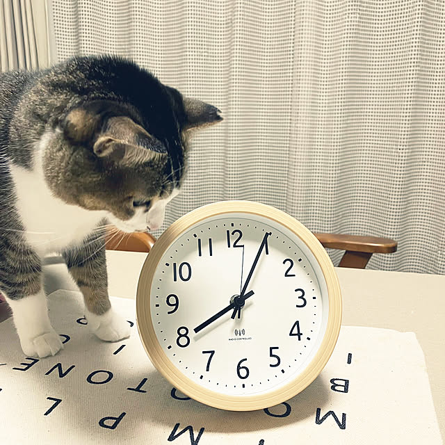 nekomiさんの実例写真