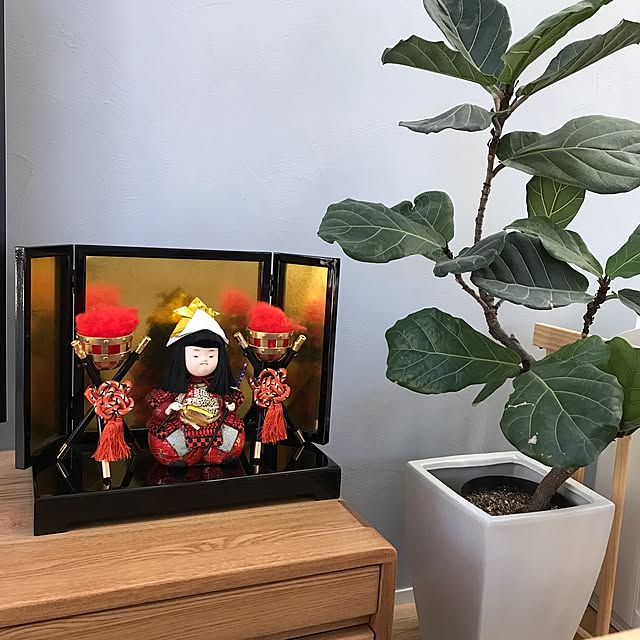 kokirinさんの実例写真