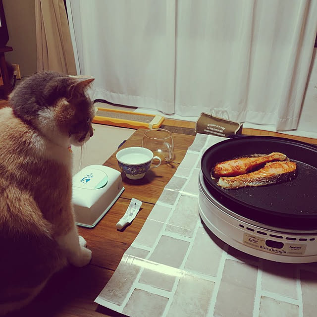 fukuさんの実例写真