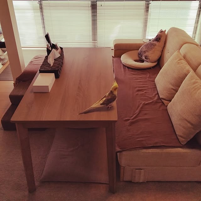 animallandさんの部屋