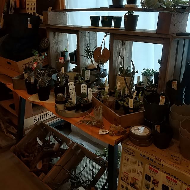 koyutan-mjmさんの部屋