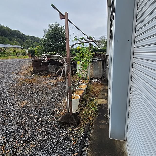 Rubiconさんの部屋