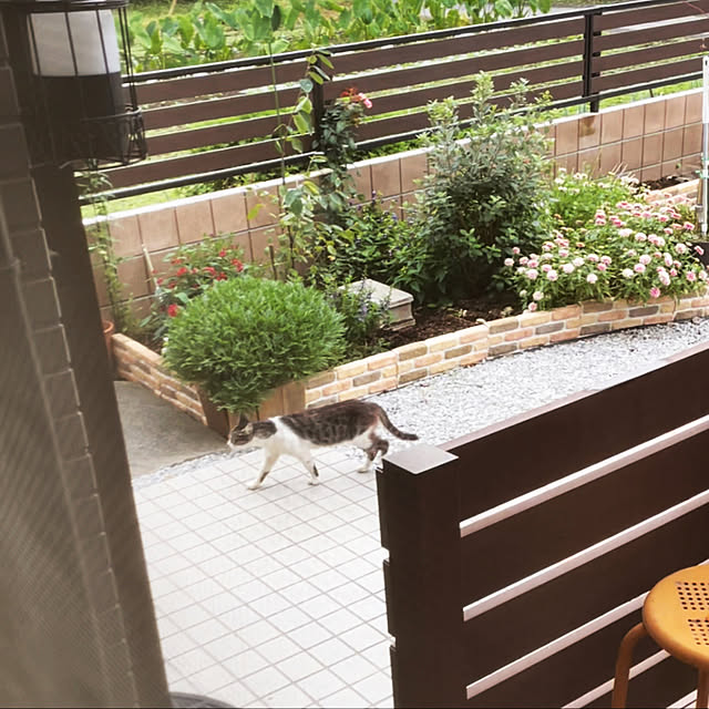 ronronさんの実例写真