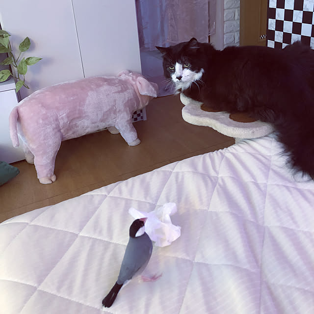 kanaさんの実例写真
