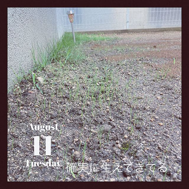 Mayさんの実例写真