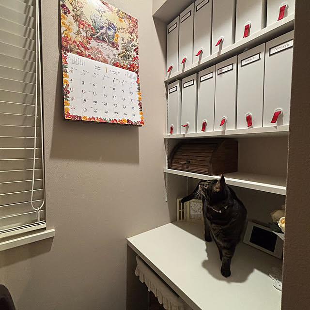 momocchiさんの部屋