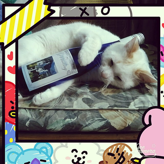 posauruさんの実例写真
