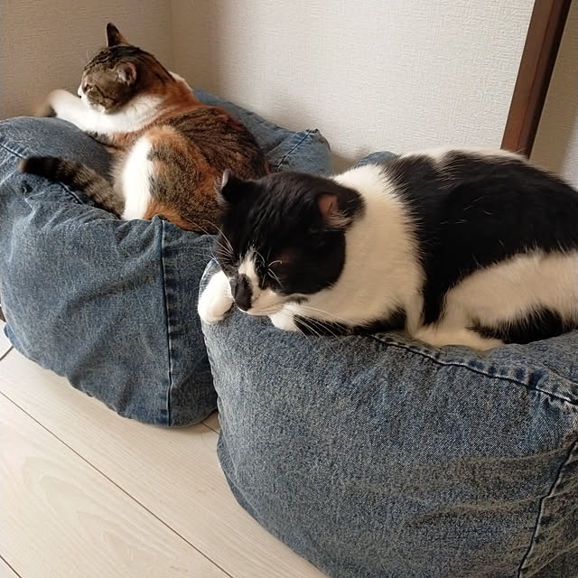 nnk.akさんの実例写真