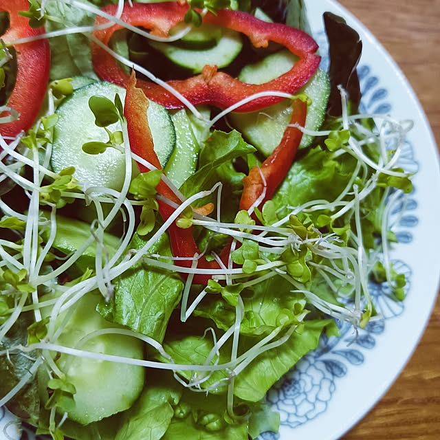 hanachanさんの部屋