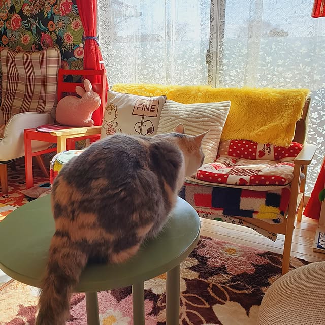 kumutanさんの部屋
