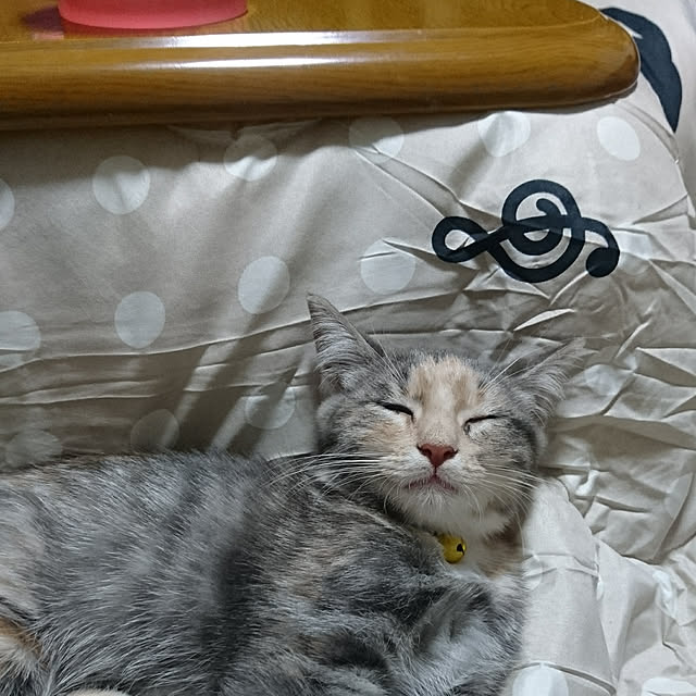 shinobuさんの実例写真