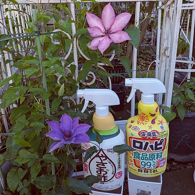 Bienvenueさんの実例写真