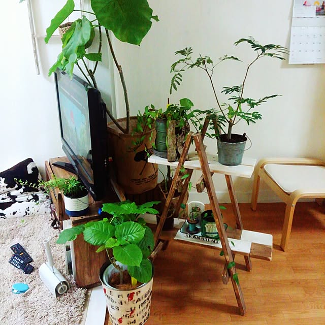 chiさんの実例写真