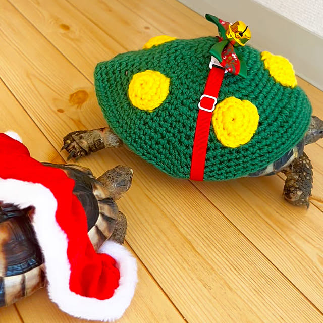 nee_roomさんの部屋