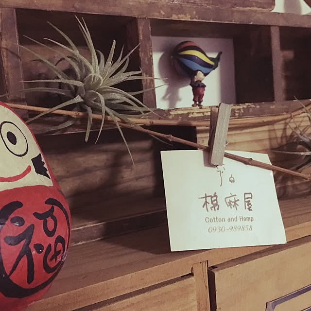 棚/観葉植物/雑貨のインテリア実例 - 2016-03-20 23:25:19