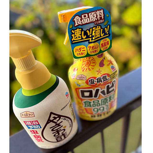 syutmmさんの部屋