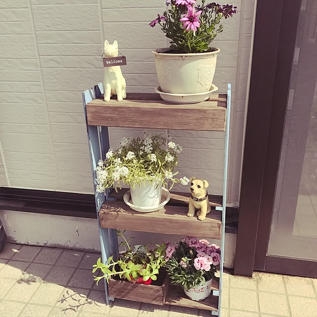 棚/観葉植物/DIY/ナチュラル/カフェ風...などのインテリア実例 - 2017-06-25 04:41:59