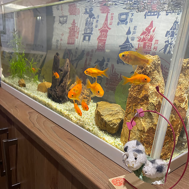 Chiba3さんの実例写真
